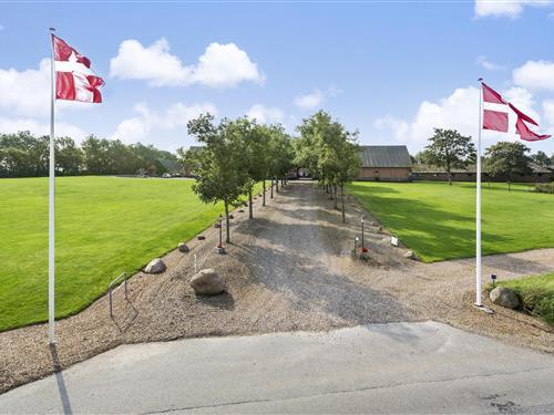 Feriehus - 30 personer -  - Åbakken - 7860 - Spøttrup