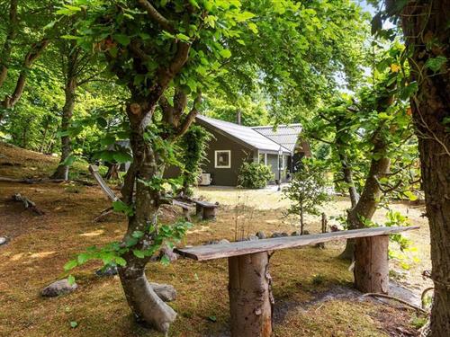 Sommerhus - 6 personer -  - Benzonstien - Fjellerup - 8585 - Glesborg