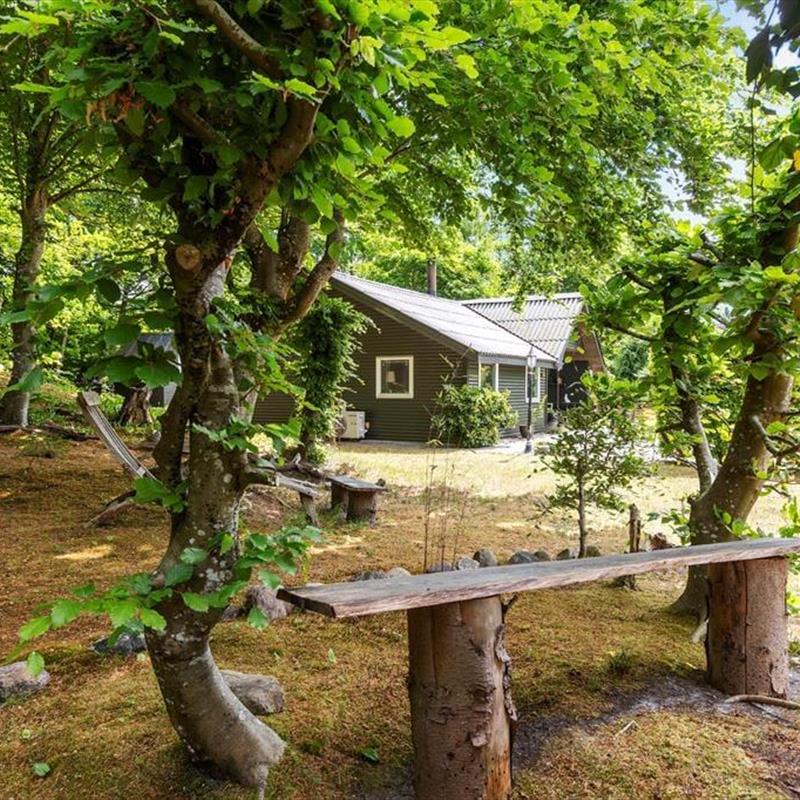 Ferienhaus - 6 Personen -  - Benzonstien - Fjellerup - 8585 - Glesborg
