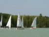 Billede 40