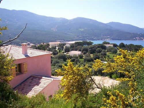 Holiday home - 1 person -  - Calcatoggio - 20111