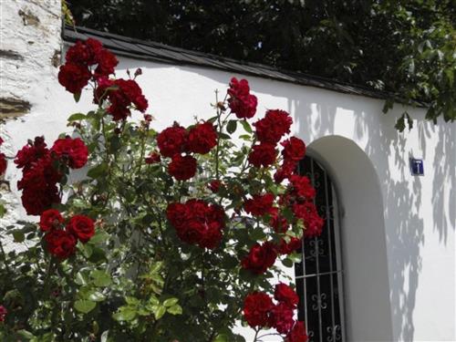 Feriehus - 2 personer -  - Kobern-Gondorf - 56330