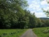 Bild 19