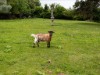Image 28 - Outside