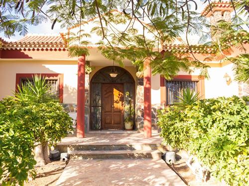 Holiday home - 20 persons -  - Carretera TF 652. Las Rosas - 38631 - Las Galletas