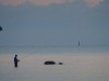 Bild 33