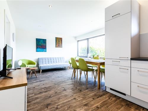 Feriehus - 4 personer -  - 54649 - Waxweiler