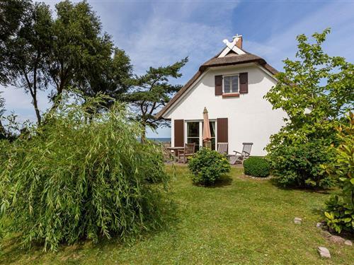 Holiday apartment - 2 persons -  - Hans-Kinder-Weg - 18347 - Ostseebad Ahrenshoop