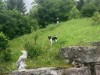 Bild 15