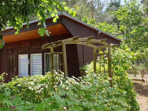 Holiday Home/Apartment - 3 persons -  - Rotdornweg - 14822 - Borkheide