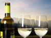 Billede 11