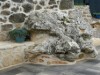 Bilde 26