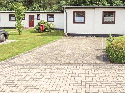 Holiday home - 4 persons -  - Oberohe - Faßberg - 29328 - Faßberg/Heidesee