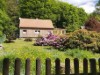 Billede 1