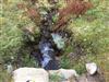 Bilde 3