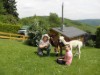 Bild 18