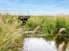 Billede 16 - Grund