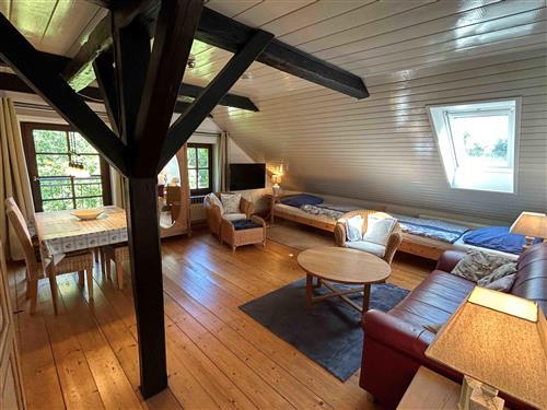 Holiday apartment - 4 persons -  - Kirchdeich - 25882 - Tetenbüll