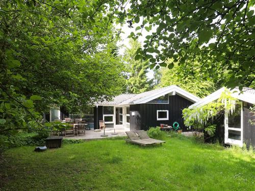 Sommerhus - 8 personer -  - Ahorn Alle - 3220 - Tisvildeleje
