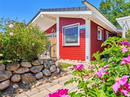 Fritidshus - 4 personer -  - Himpkampweg - 25813 - Simonsberg