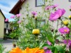 Bild 22