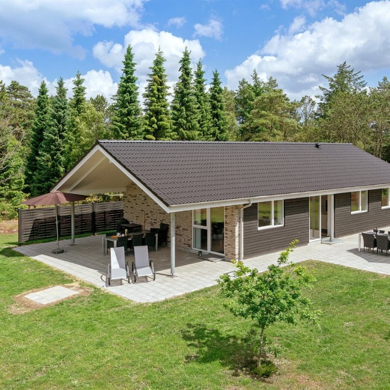 Ferienhaus - 6 Personen -  - Blåbærvej - Napstjärt - 9981 - Jerup