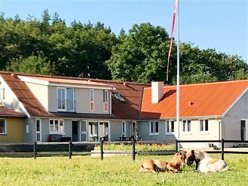 Sommerhus - 4 personer -  - Golfvej - 9900 - Frederikshavn