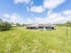 Bild 31 - Ude