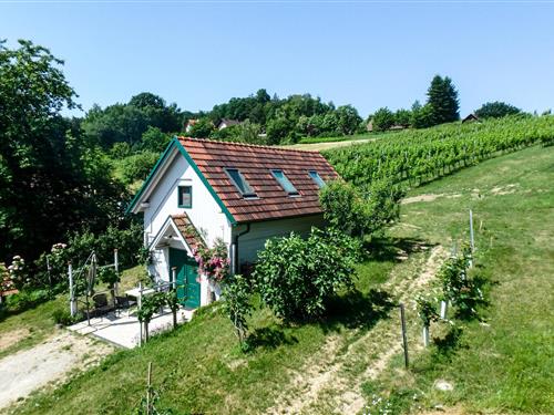 Ferienhaus - 3 Personen -  - Hamerlberg - 7522 - Strem