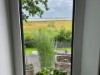 Bild 29