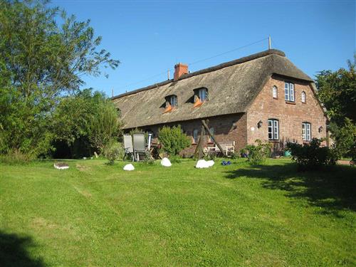 Ferielejlighed - 2 personer -  - Liliencronweg - 25849 - Pellworm