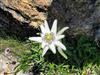 Bild 53