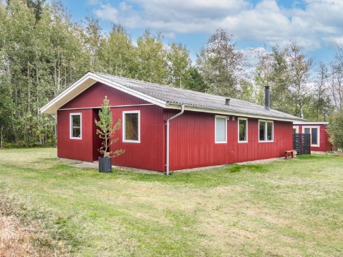 Sommerhus - 4 personer -  - Ndr. Skovvej - Houstrup - 6830 - Nr. Nebel