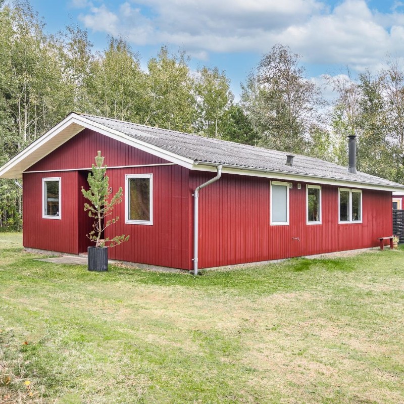 Ferienhaus - 4 Personen -  - Ndr. Skovvej - Houstrup - 6830 - Nr. Nebel