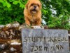Bild 19