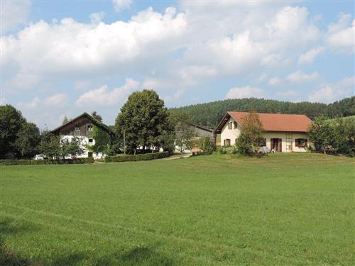 Ferielejlighed - 4 personer -  - Am Lerchenfeld - 93489 - Schorndorf