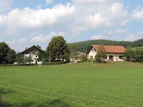 Ferienwohnung - 4 Personen -  - Am Lerchenfeld - 93489 - Schorndorf
