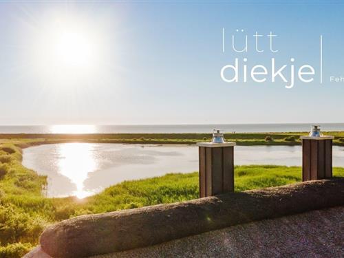 Sommerhus - 4 personer -  - Westermarkelsdorf - 23769 - Fehmarn Ot Westermarkelsd