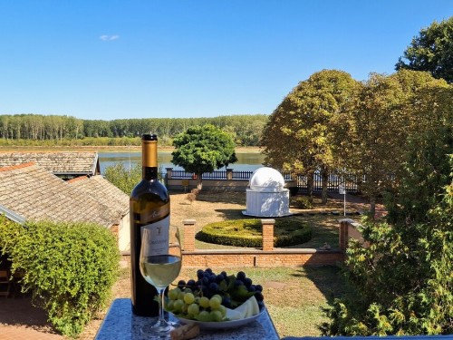 Ferienhaus - 7 Personen -  - Hrvatske republike - 31204 - Dalj