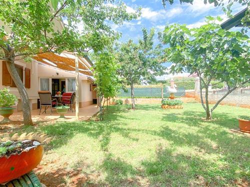 Holiday apartment - 4 persons -  - Stancijeta - 52466 - Bužinija