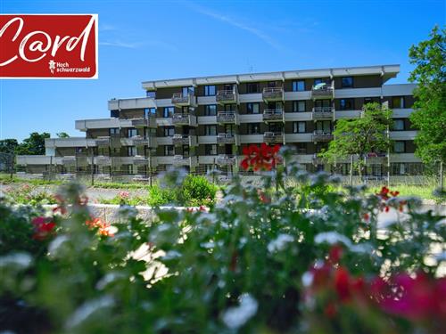 Ferieleilighet - 4 personer -  - Dr. Pilet Spur - 79868 - Feldberg