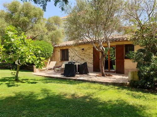 Sommerhus - 2 personer -  - Calvi - 20260