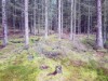 Bilde 18 - Ude