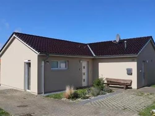 Sommerhus - 9 personer -  - Seeblick - 23974 - Boiensdorf