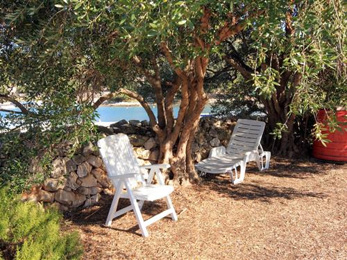 Feriehus - 6 personer -  - Gradina - 20270 - Gradina