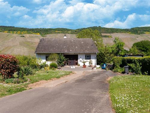 Ferieleilighet - 2 personer -  - 54470 - Wehlen