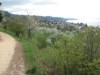 Bild 16