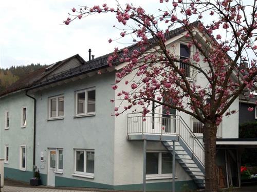 Feriehus / leilighet - 6 personer -  - Lahnstr. - 57334 - Bad Laasphe