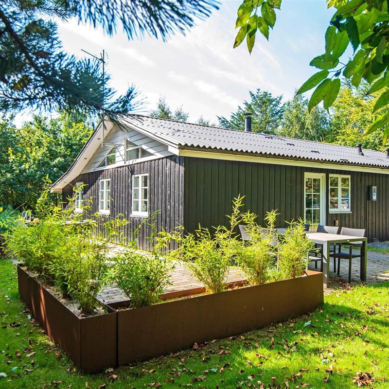 Ferienhaus - 8 Personen -  - Bøgealle - Lodbjerg Hede - 6950 - Ringköbing