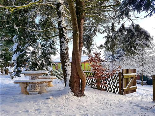 Ferienhaus - 4 Personen -  - Schöne Aussicht - 08645 - Bad Elster